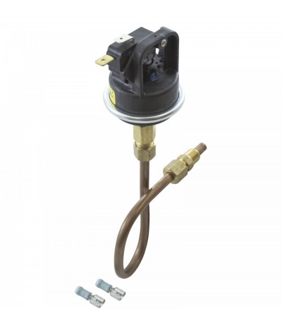 Pressure Switch, Raypak 53A, with Tubing : 003651F