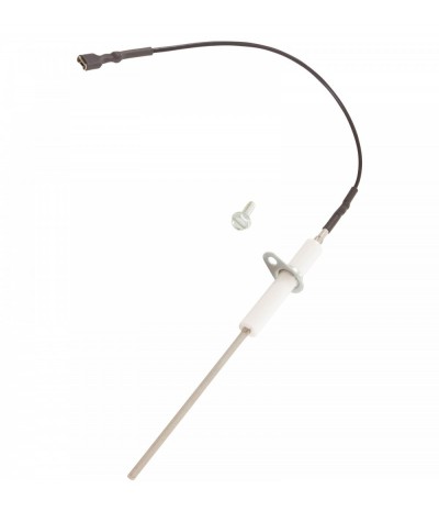 Jandy Pro Series Flame Sensor Rod, Model All Lrze/Lrzm : R0458601