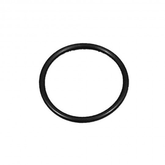 O-Ring, Used on 1" Union...