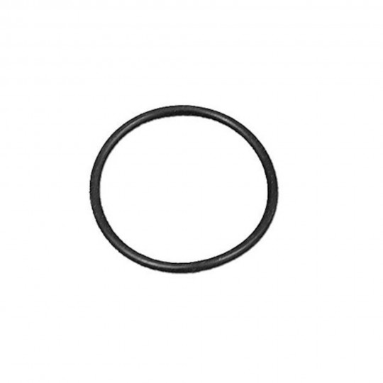 O-Ring, Watreway, Can be used on 1" Diverter Valves : 805-0127SD