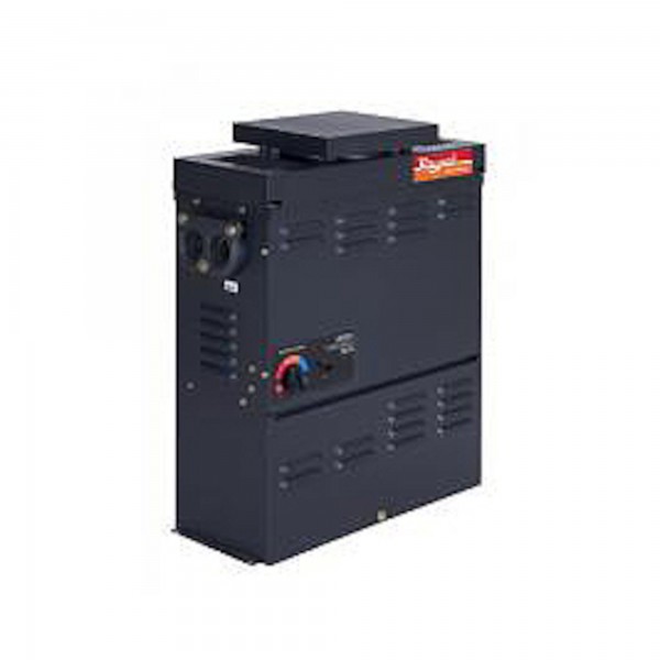 Heater Assembly, Raypak, Propane, 50K BTU, Electronic Ignition, 4000-6000Ft Elevation : 008646