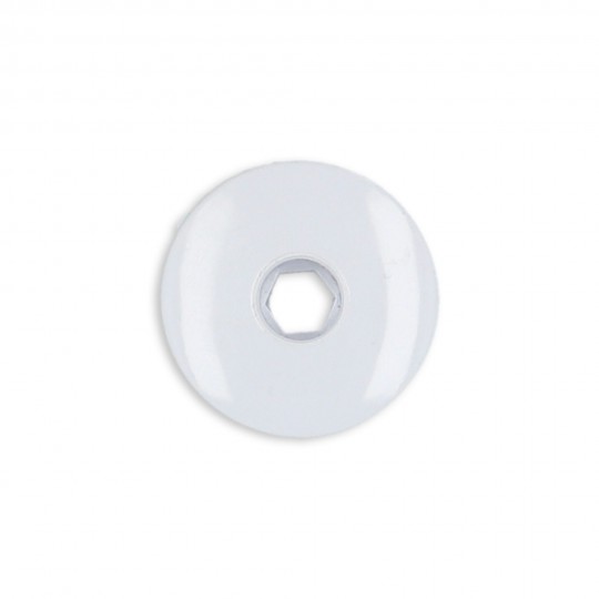 Jet Internal, Waterway Ozone/Cluster, Non-Adjustable, 1-1/2" Face, White : 215-9860