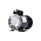 Circulation Pump, Waterway Iron Might, 1/15HP, 115V, 1.3A, 1-Speed, 40GPM, 48-Frame, 1-1/2"MBT : 3410030-1E
