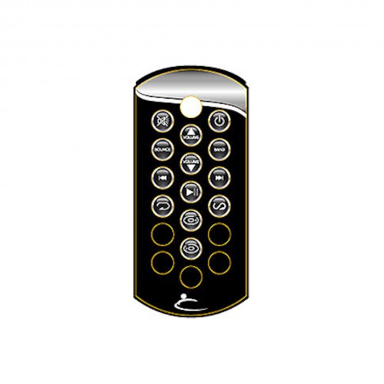 Overlay, 2009 Stereo Remote, Dynasty Xe Logo : 12907
