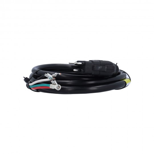 Plug, In.Link, Pump1, 2-Speed, 15A, 115V, 8' Cord : 9920-401239