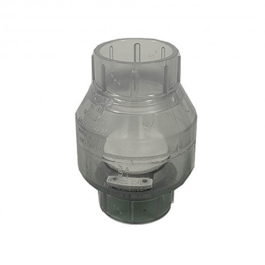 Check Valve, Flo-Control, Swing, 2"S x 2"S, Clear : 1520C-20