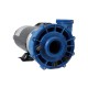 Pump, Aqua-Flo FMXP2, 1.5HP, SD, 48-Frame, 2-Speed, 230V, 6.8/2.5A, 2"MBT, Includes Unions : 06115517-2040