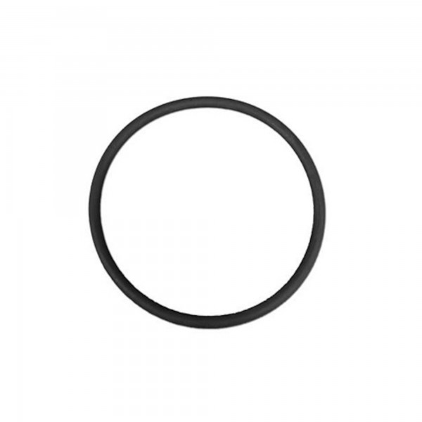 O-Ring, Filter, Waterway, Sand Filter : 805-0435