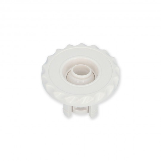 Jet Internal, Waterway Deluxe Mini, Directional, 2-1/2" Face, White : 224-1000