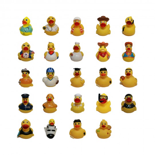 Rubber Duck, Assortment Of 24 Career Ducks : K24C