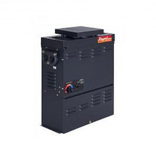 Heater Assembly, Raypak, Propane, 50K BTU, Electronic Ignition, 6000-8000Ft Elevation : 008647
