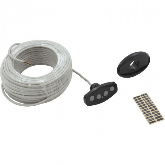 Control Panel, Pentair iS4, 100ft Cable, Black : 521892