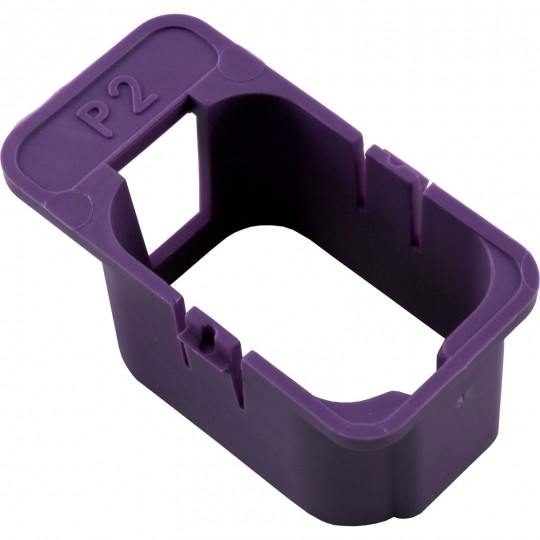 Keying Enclosure, HC-P2-Violet, Pump 2 (120/240) : 9917-100907