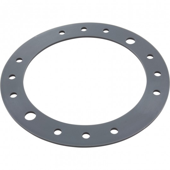Gasket, Speck Badu Stream II Jet, For Clamping Ring : 2308750005