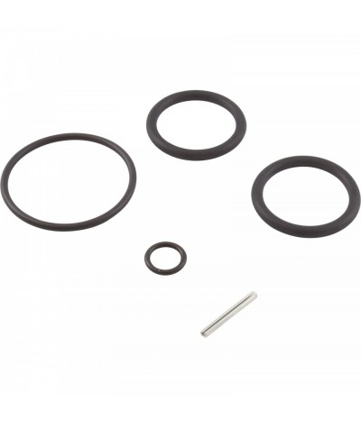 Kit, O-rings, Includes all valve O-rings : 263054