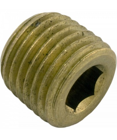 Drain Plug, Val-Pak AquaFlo A/AC Series, 1/4" Brass :