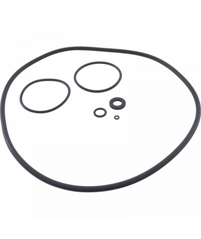 O-Ring Kit, Zodiac Jandy CS Series : R0466300
