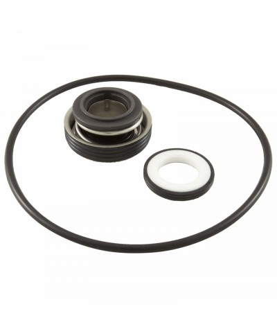 Mechanical Seal, Raypak Protege RPAGP, With O-Ring : 018227F
